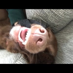 Meet your Posher, Jack